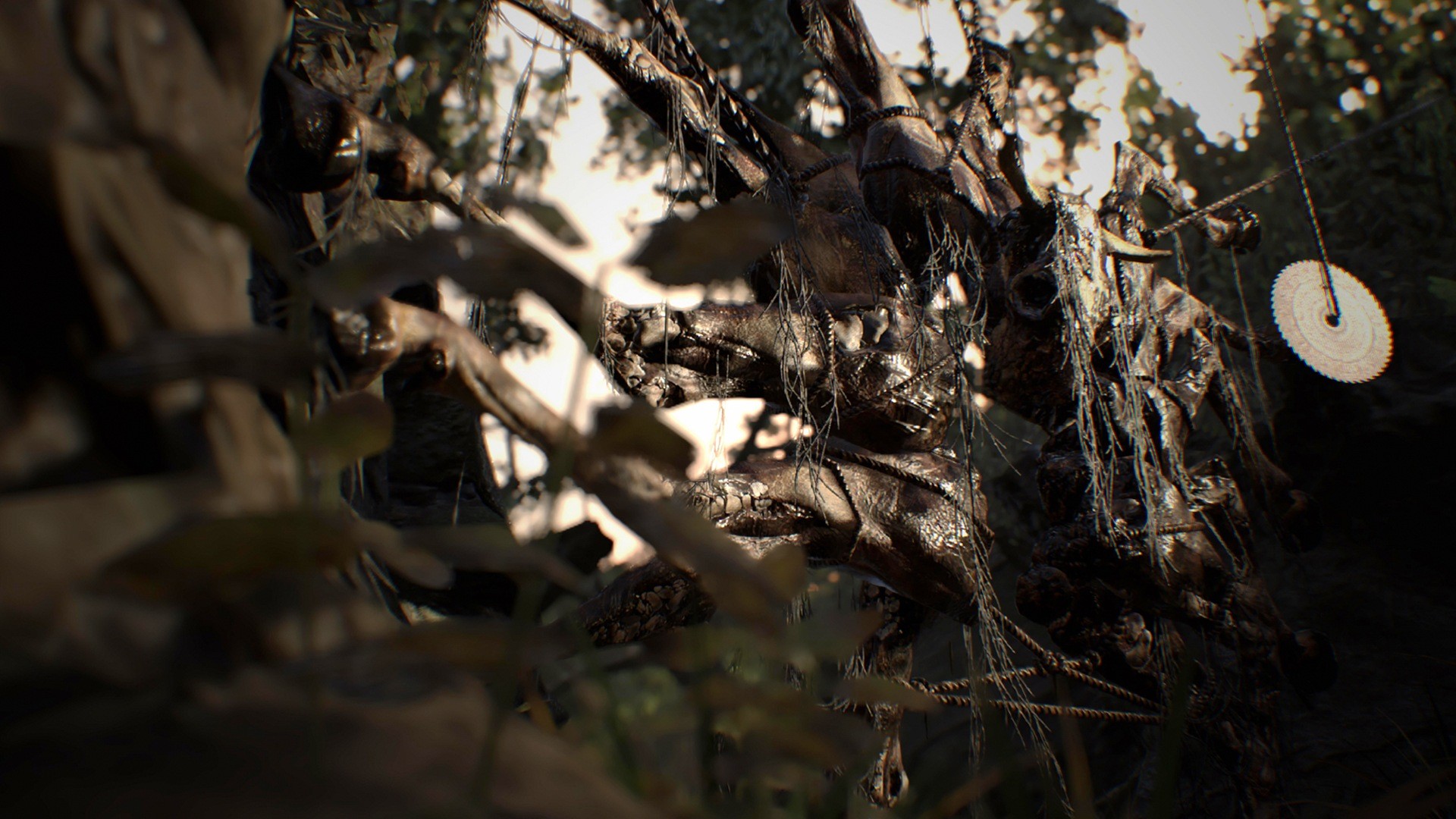 Resident Evil 7 biohazard - Imagen 48